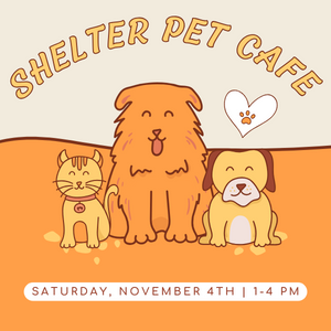 Promotional graphic: "Shelter Pet Cafe - Saturday November 4th 1-4 PM"