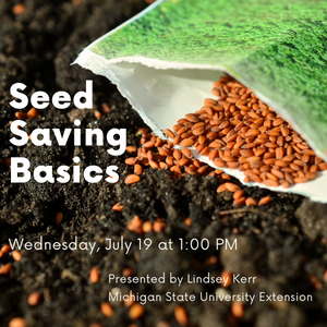 Seed Saving Basics