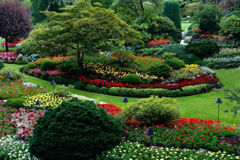 Landscaped garden view.