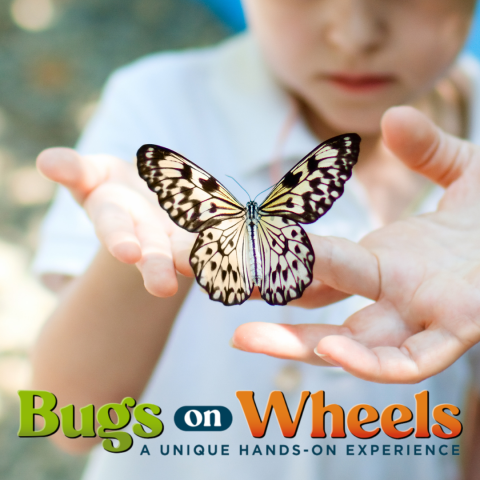 image of child holding a butterfly with the bugs on wheels logo underneath