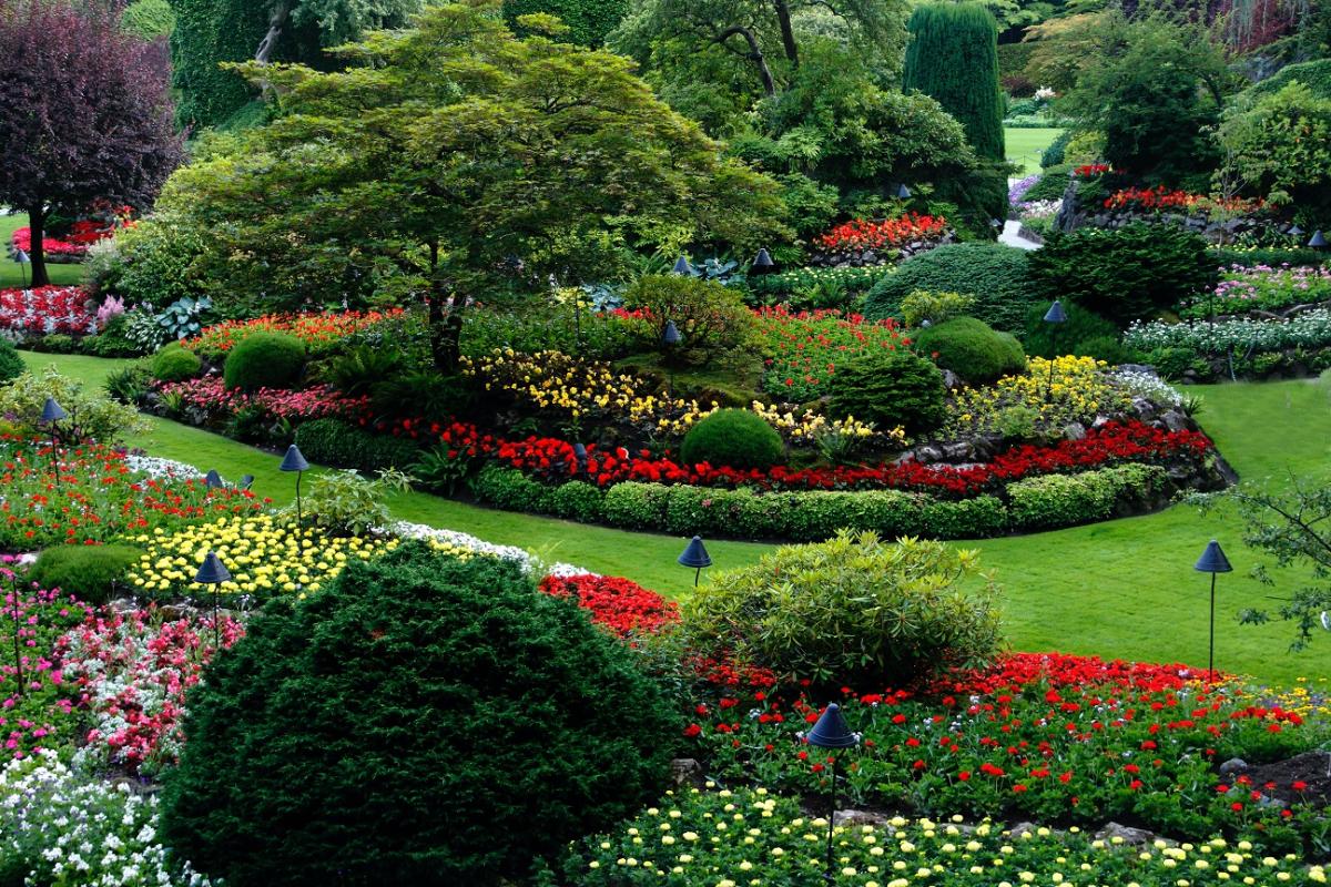 Landscaped garden view.