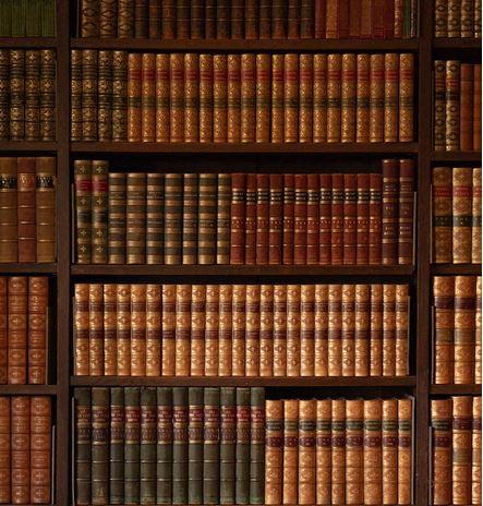 Image of books on a bookshelf.  The titles are not legible.