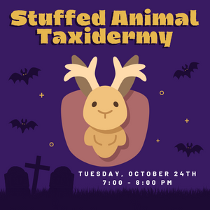 Promotional graphic: "Stuffed Animal Taxidermy - Tuesday October 24th 7-8 PM"