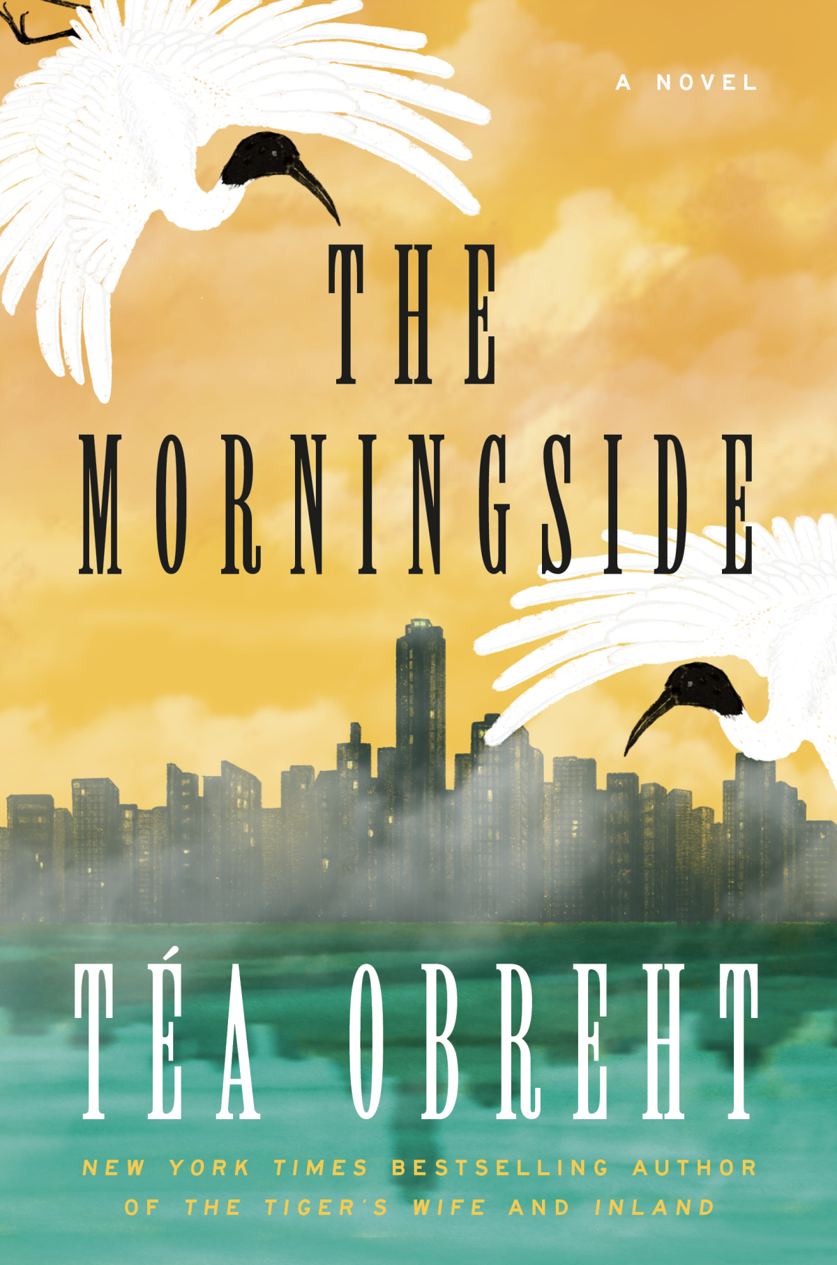 The Morningside by Tea Obreht